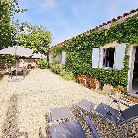 Fleurs De Vigne, Charentais Au Grand Coeur *