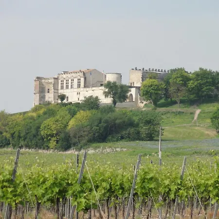 Fleurs De Vigne, Charentais Au Grand Coeur