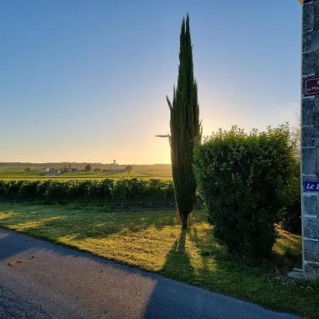 Fleurs De Vigne, Charentais Au Grand Coeur *