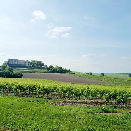 Fleurs De Vigne, Charentais Au Grand Coeur * Bouteville