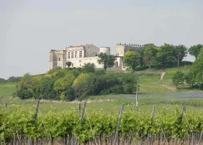 Fleurs De Vigne, Charentais Au Grand Coeur