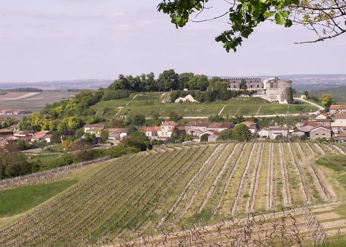 Fleurs De Vigne, Charentais Au Grand Coeur * Bouteville