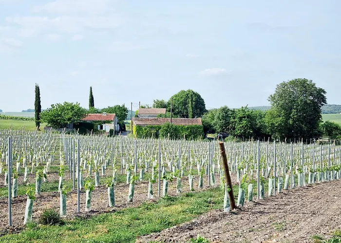 Fleurs De Vigne, Charentais Au Grand Coeur