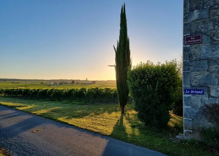 Fleurs De Vigne, Charentais Au Grand Coeur *