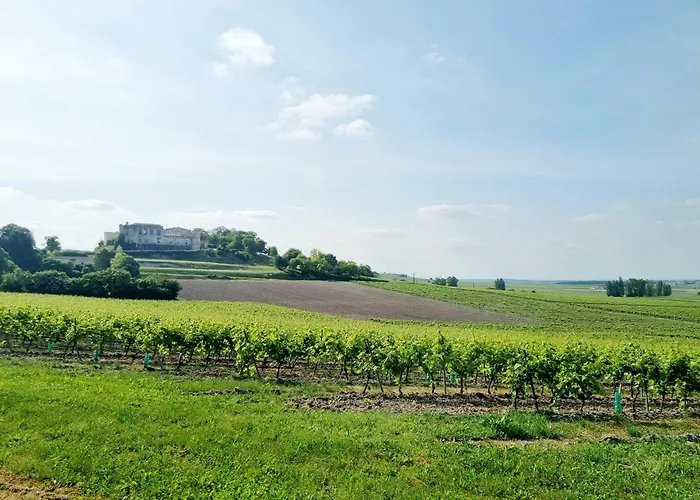 Fleurs De Vigne, Charentais Au Grand Coeur * Bouteville