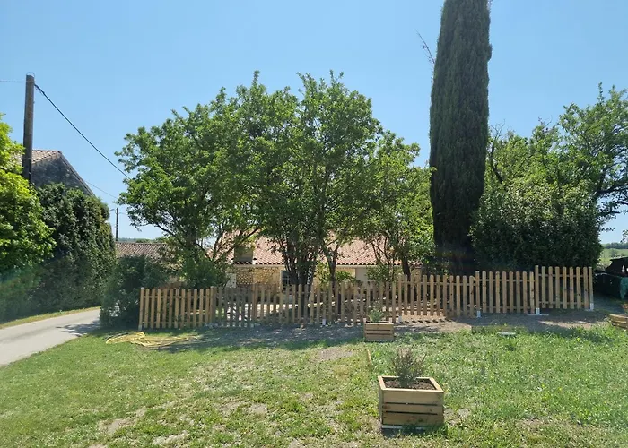 Fleurs De Vigne, Charentais Au Grand Coeur