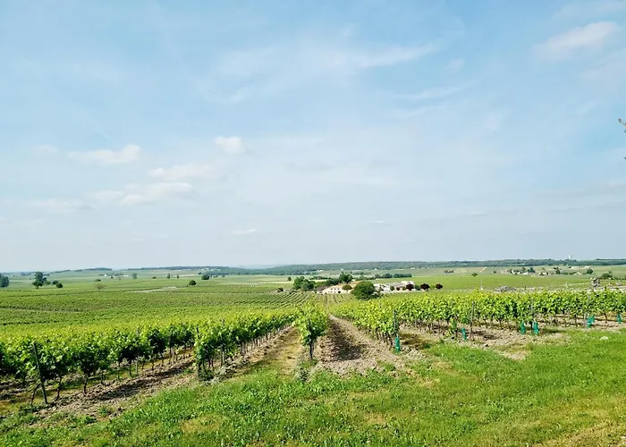 Fleurs De Vigne, Charentais Au Grand Coeur Сasa de vacaciones Bouteville